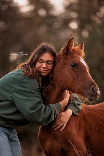 Portrait mit dir und deinem Pferd