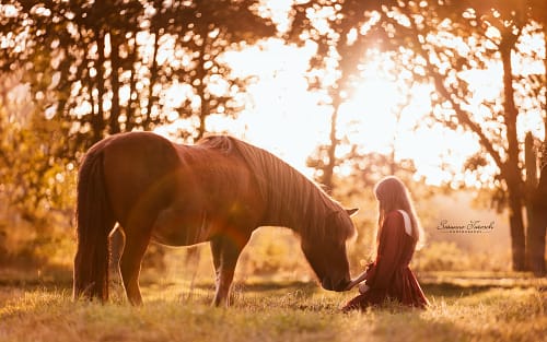 Ganz entspannt auf der Koppel